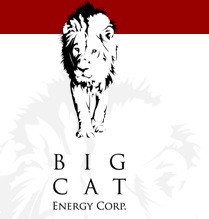 Big Cat Energy Corporation thumbnail